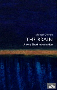 The Brain