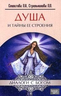 Душа и тайны ее строения: Контакты с Высшим Космическим Разумом