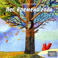 Лес: Времена года