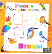 Учимся рисовать: Птицы