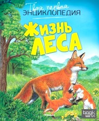 Жизнь леса