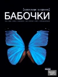 Бабочки