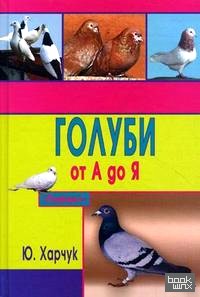 Голуби от А до Я