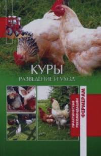 Куры: Разведение и уход