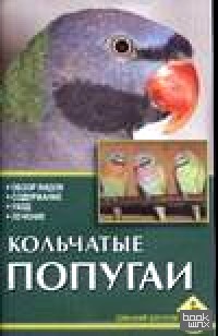 Кольчатые попугаи