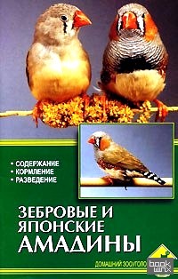 Зебровые и японские амадины: Содержание. Кормление. Разведение