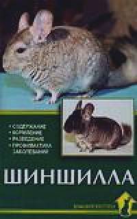 Шиншилла