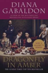 Dragonfly in Amber