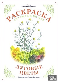 Раскраска: Луговые цветы