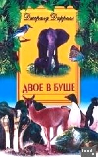 Двое в буше