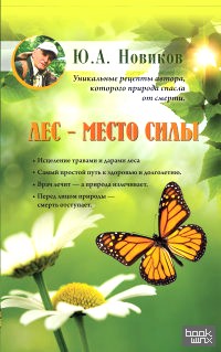 Лес — место силы