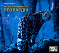 Мои знакомые леопарды