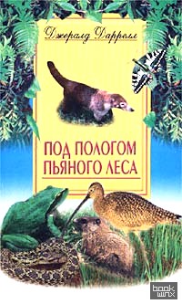 Под пологом пьяного леса