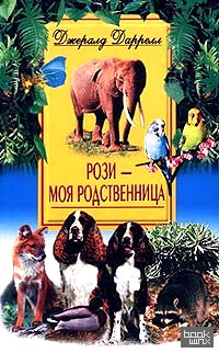 Рози — моя родственница
