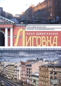 Такая удивительная Лиговка