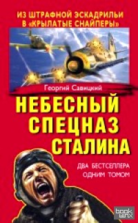 Небесный спецназ Сталина: Из штрафной эскадрильи в «крылатые снайперы»
