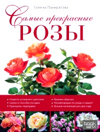 Самые прекрасные розы