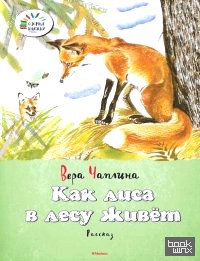 Как лиса в лесу живёт
