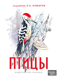 Птицы
