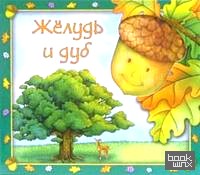 Жёлудь и дуб