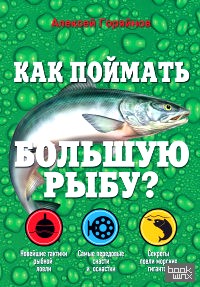 Как поймать большую рыбу?