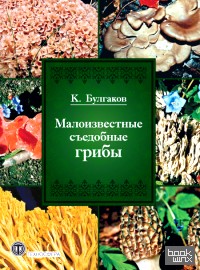 Малоизвестные съедобные грибы