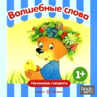 Волшебные слова