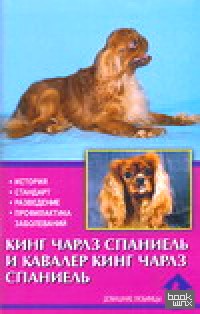 Кинг чарлз спаниель и кавалер кинг чарлз спаниель