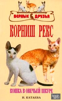 Корниш рекс