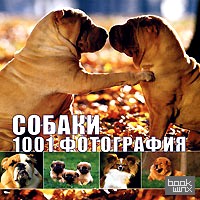 Собаки: 1001 фотография