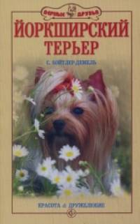 Йоркширский терьер: Красота и дружелюбие