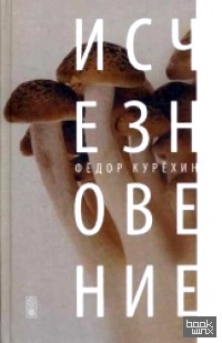 Исчезновение