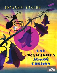 Как муравьишка домой спешил