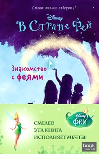 Знакомство с феями: Книга 1