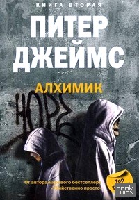 Алхимик: Книга 2