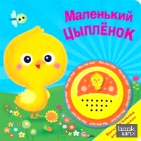 Маленький цыпленок