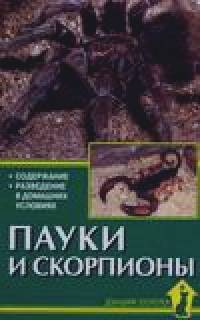 Пауки и скорпионы