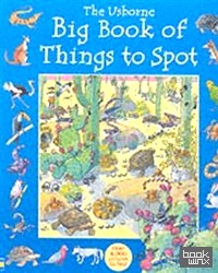 The Usborne Big Book of Things to Spot