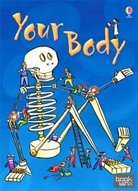 Your Body