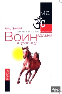 Воин, идущий к Солнцу: Русь. Реки и горы Бодхидхармы. Книга III. «Солнце ариев»