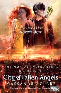 City of Fallen Angels