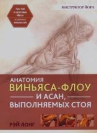 Анатомия виньяса-флоу и асан, выполняемых стоя: Руководство