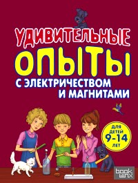 Удивительные опыты с электричеством и магнитами