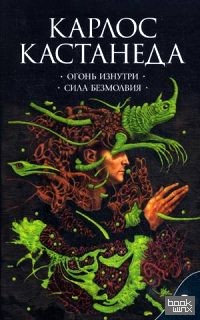 Огонь изнутри: Сила безмолвия. Книга 4