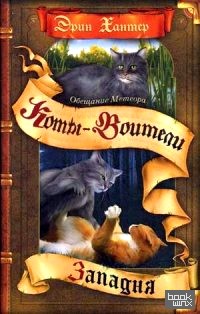 Обещание Метеора: Книга 1. Западня