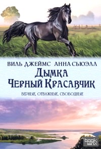 Дымка: Черный Красавчик