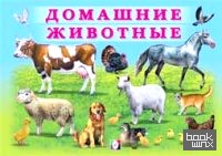 Домашние животные