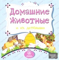 Домашние животные и их детеныши