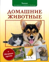 Домашние животные + обучающие карточки