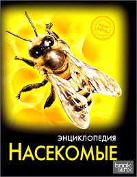 Энциклопедия: Насекомые